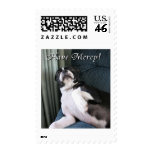 Boston Terrier:  Have Mercy! postage