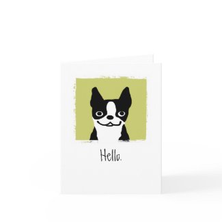 Boston Terrier 