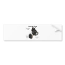 Boston Terrier History Design bumper stickers by GreyWolfCreation Boston Terrier History Design bumper stickers