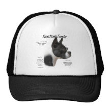 Boston Terrier History Design Mesh Hat