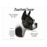 Boston Terrier History Design Post Cards