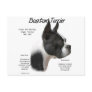 Boston Terrier History Design Post Cards