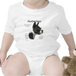 Boston Terrier History Design T Shirts