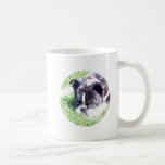 Boston Terrier:  How Cute Mugs