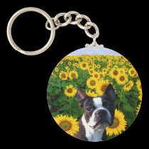 Boston Terrier in Sunflowers keychain keychains