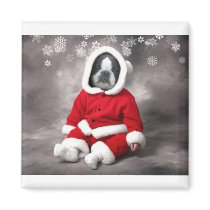 BOSTON TERRIER IN XMAS OUTFIT magnets by SUNZUP4U BOSTON TERRIER IN XMAS OUTFIT magnets