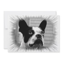 Boston Terrier Invitation