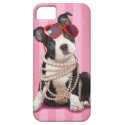 Boston Terrier iPhone 5 Cases