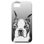 Boston Terrier iPhone 5 Covers