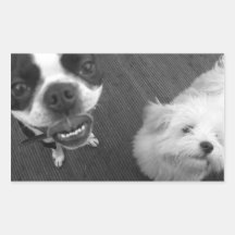 Boston Terrier Lips Round Stickers