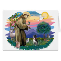 Boston Terrier ((looking up) cards