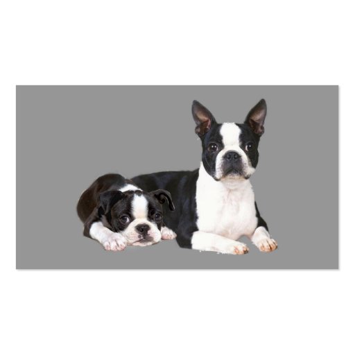 Boston Terrier Lover Business Card (front side)