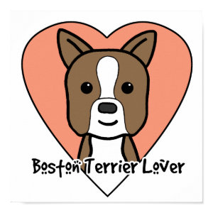 Boston Terrier Lover print