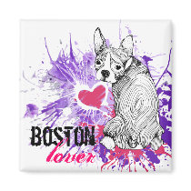 Boston Terrier magnets