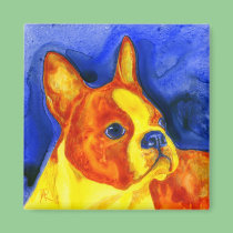 Boston Terrier Magnet - "Golden Boy" magnets