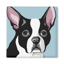Boston Terrier Magnets magnets