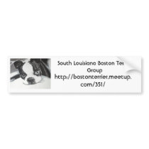 Boston Terrier Meetup Group Bumper Stickers