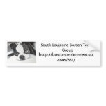 Boston Terrier Meetup Group