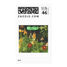 Boston Terrier:  Mischief Postage Stamps