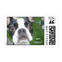 boston terrier Mochi postage