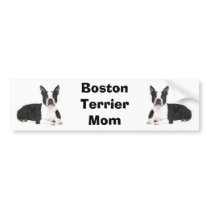 Boston Terrier Mom Bumper Sticker