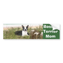 Boston Terrier Mom Bumper Sticker Beachgrass bumper stickers