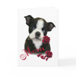 Boston Terrier  Mom Card