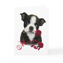 Boston Terrier Mom cards by friskybiz Boston Terrier Mom cards