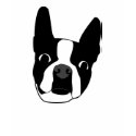 Boston Terrier (Morrisey) t-shirts