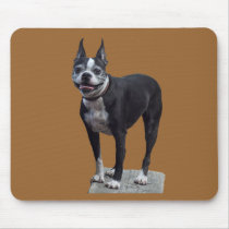 Boston Terrier mousepads