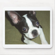 Boston Terrier Mousepad mousepads