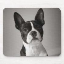 Boston Terrier Mousepad mousepads
