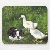 Boston Terrier Mousepad Ducks by normagolden Boston Terrier Mousepad Ducks