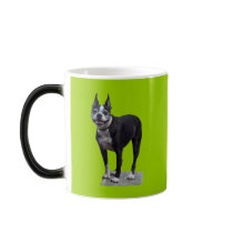 Boston Terrier mugs