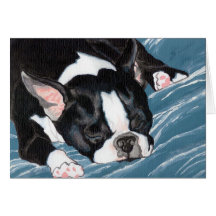 Boston Terrier Nap Greeting Cards