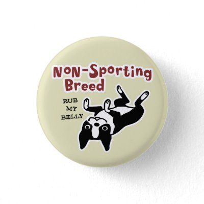 Boston Terrier "Non-Sporting Breed" Button