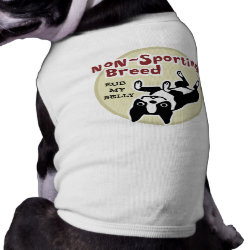 Boston Terrier