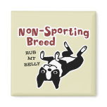 Boston Terrier "Non-Sporting Breed" Magnet