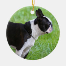 Boston Terrier Ornament