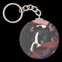 Boston Terrier:  Peek-a-Boo keychains
