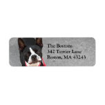 Boston Terrier Pet Address labels