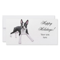 Boston Terrier Photo Card photo cards