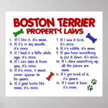 BOSTON TERRIER PL2 PRINT