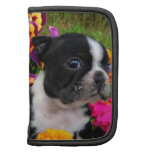 Boston terrier organizer