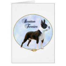 Boston Terrier Portrait Cards