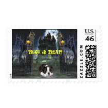Boston Terrier Postage postage