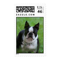 Boston Terrier Postage