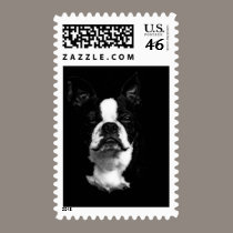 Boston Terrier postage by zeebuzz Boston Terrier postage