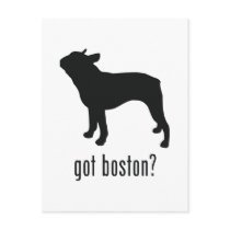 Boston Terrier Post Cards