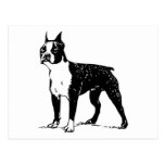 boston terrier postcards